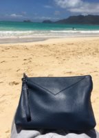 ImageUploadedByPurseForum1467841964.740164.jpg