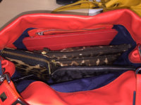 ImageUploadedByPurseForum1467910615.585949.jpg