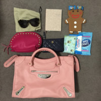 ImageUploadedByPurseForum1468024940.566284.jpg