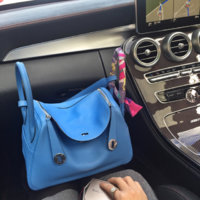 ImageUploadedByPurseForum1468120844.982292.jpg