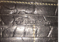 purse branding.png