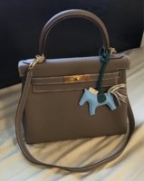 ImageUploadedByPurseForum1468195701.138825.jpg