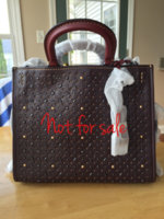 ImageUploadedByPurseForum1468267852.558554.jpg
