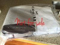 ImageUploadedByPurseForum1468267892.260973.jpg