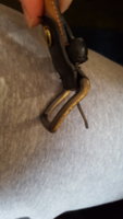20160712_083144.jpg
