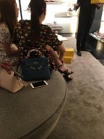 ImageUploadedByPurseForum1468507059.367335.jpg