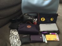 ImageUploadedByPurseForum1468783584.040120.jpg