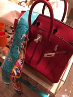 ImageUploadedByPurseForum1469061757.611829.jpg