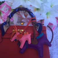 ImageUploadedByPurseForum1469230145.642904.jpg