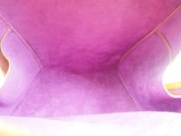 249126-iID_10{1466501017}.jpg
