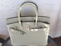 ImageUploadedByPurseForum1469927678.369414.jpg