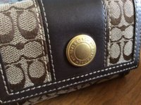 Wallet - nail polish over Rub n Buff.JPG