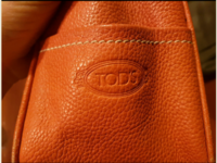 tods1.PNG
