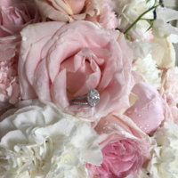 ImageUploadedByPurseForum1471469182.586625.jpg