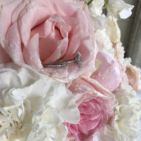 ImageUploadedByPurseForum1471469210.442525.jpg