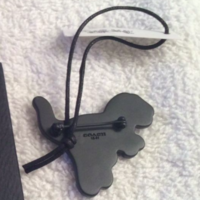 rexy pin back.png