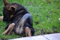 2016 08 14_1386_800x533.JPG