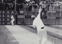giphy (4).gif