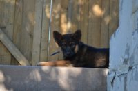 2016 08 21_1408_800x533.JPG