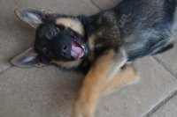 2016 08 23_1409_800x533.JPG