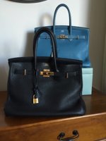 Hermes Birkin family.JPG