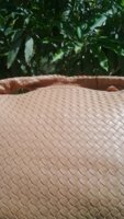 IMG_20160829_140856.jpg