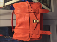 Proenza 4.png