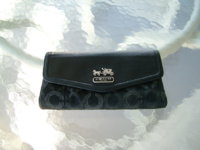 DSCF3115.JPG