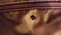 20160908_212205.jpg