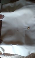 20160911_113539.jpg