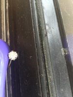 IMG_1473957498.730105.jpg