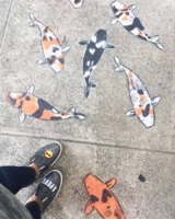 IMG_1473968636.680495.jpg