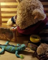 Bear & marmite vs chocolate_resized.jpg