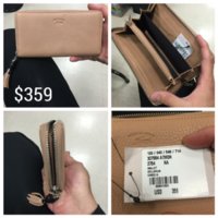 Steve Gucci5.jpeg
