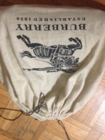 image.jpeg