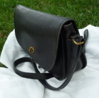 City Bag 1a.jpg