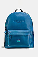 coach2.jpg
