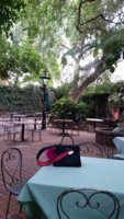 20161003_143131.jpeg