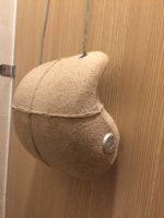 Image1475815632.319522.jpg