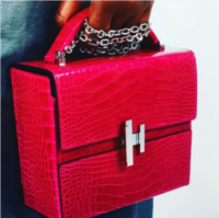 Hermes-Red-Crocodile-Cinetic-dHermes-Bag-Spring-2017-300x299.png