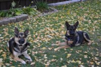 2016 10 07_1585_800x533.JPG