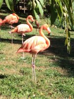 IMG_3097.JPG