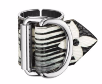 cruise ring 2016.png