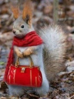 ImageUploadedByPurseForum1476636519.041033.jpg