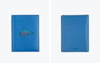 passport 1.png