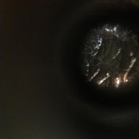 unnamed-5.jpg