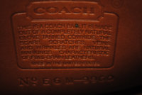 ifg0748_8.jpg