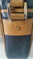 20161020_121807_resized_3.jpg