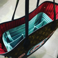 ImageUploadedByPurseForum1478083927.815212.jpg