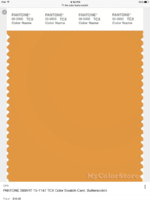 IMG_0798.PNG